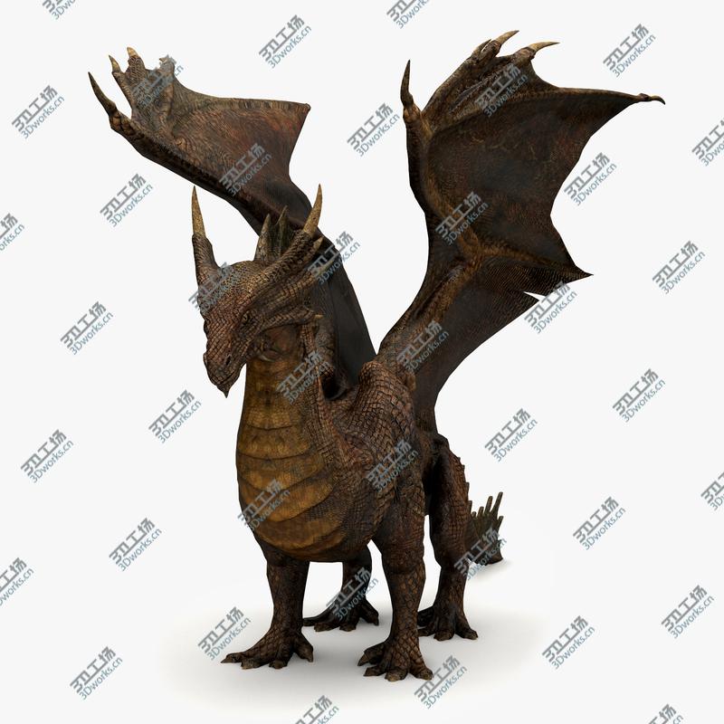 images/goods_img/202105073/Copper Dragon/4.jpg